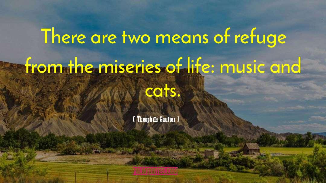Theophile Gautier Quotes: There are two means of