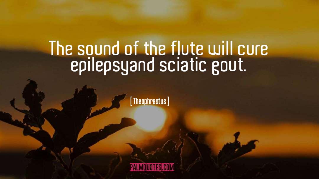 Theophrastus Quotes: The sound of the flute