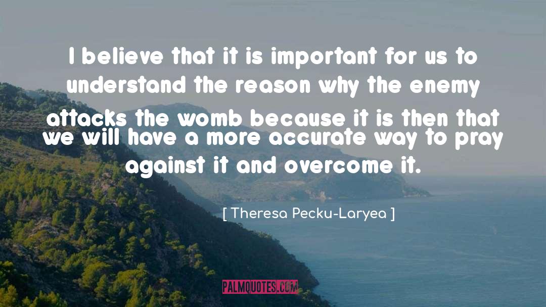 Theresa Pecku-Laryea Quotes: I believe that it is