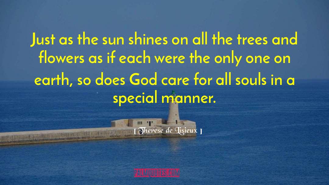 Therese De Lisieux Quotes: Just as the sun shines