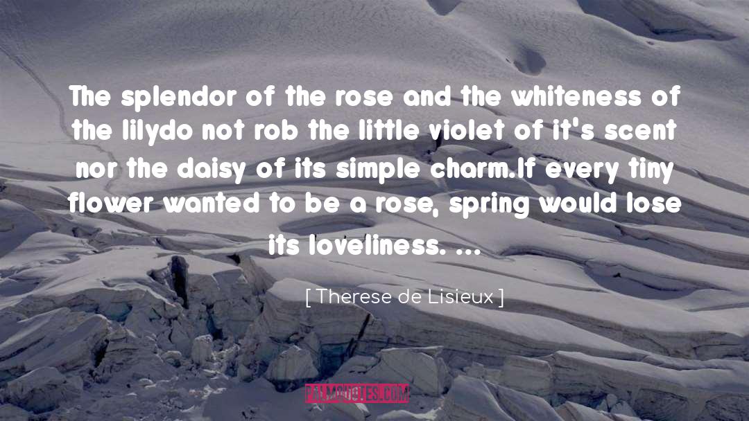 Therese De Lisieux Quotes: The splendor of the rose