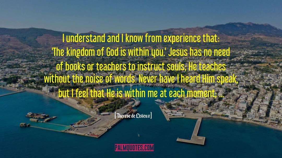Therese De Lisieux Quotes: I understand and I know