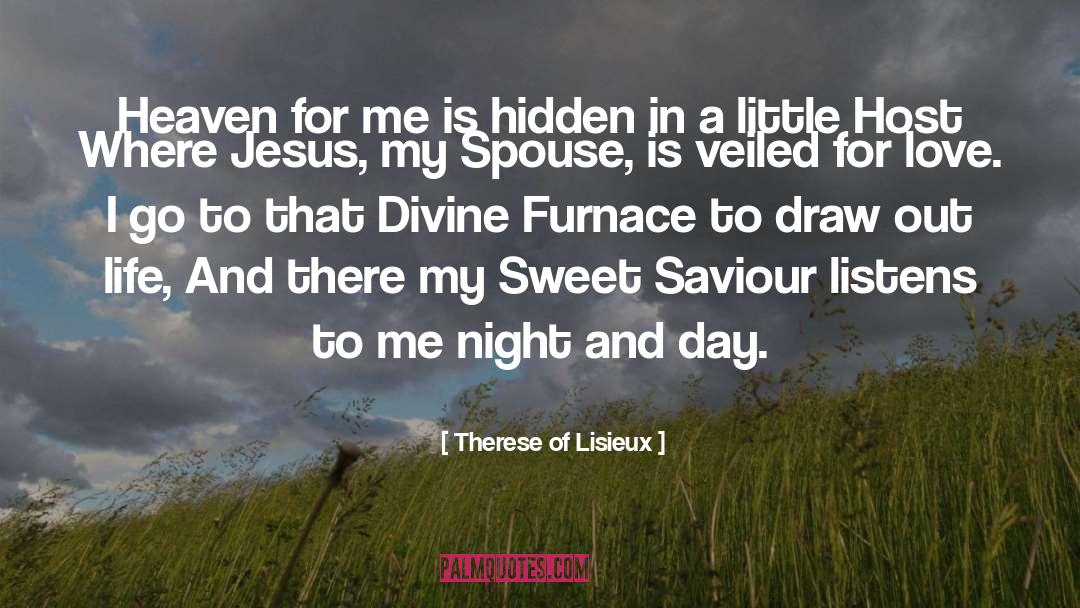 Therese Of Lisieux Quotes: Heaven for me is hidden