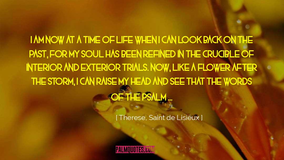 Therese, Saint De Lisieux Quotes: I am now at a