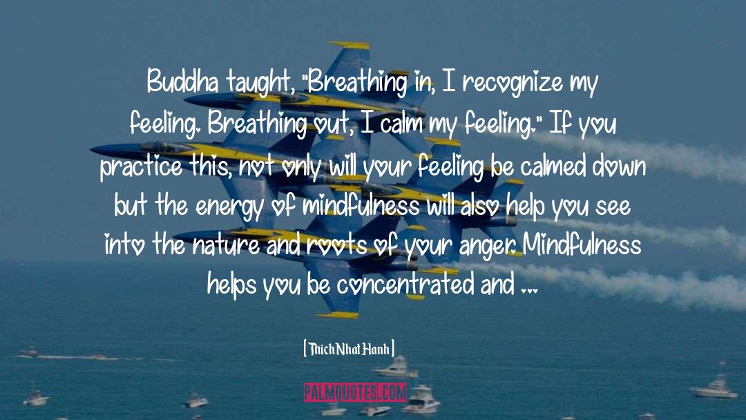 Thich Nhat Hanh Quotes: Buddha taught, 