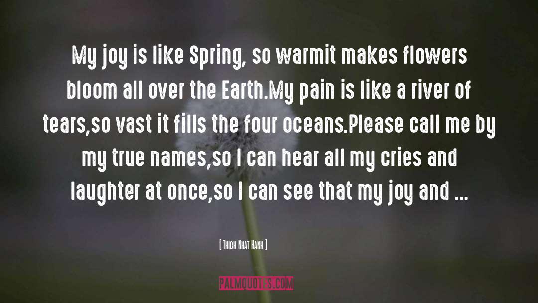 Thich Nhat Hanh Quotes: My joy is like Spring,