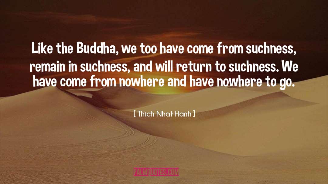 Thich Nhat Hanh Quotes: Like the Buddha, we too