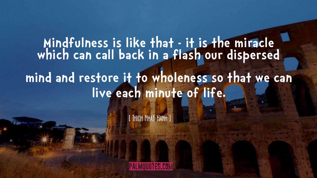 Thich Nhat Hanh Quotes: Mindfulness is like that -
