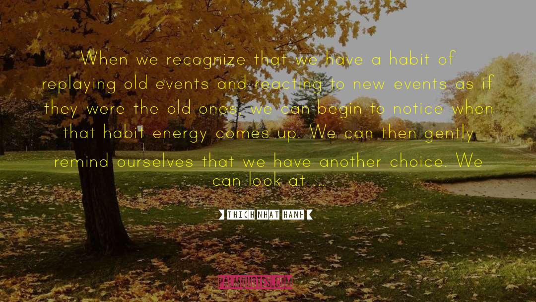 Thich Nhat Hanh Quotes: When we recognize that we