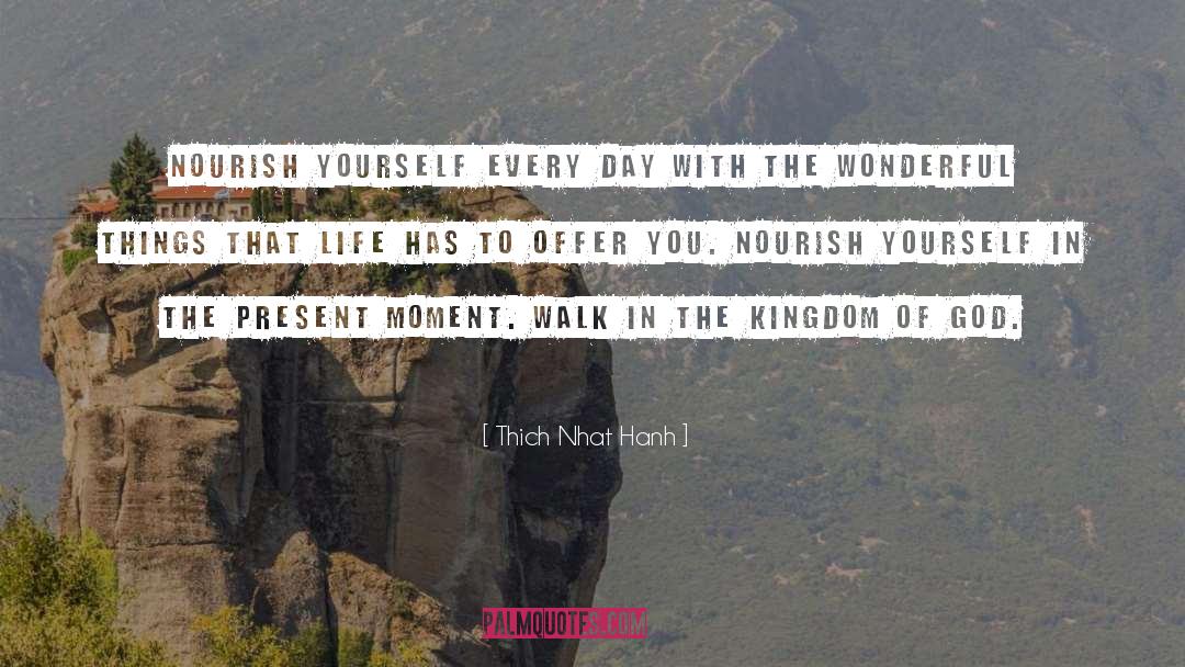 Thich Nhat Hanh Quotes: Nourish yourself every day with