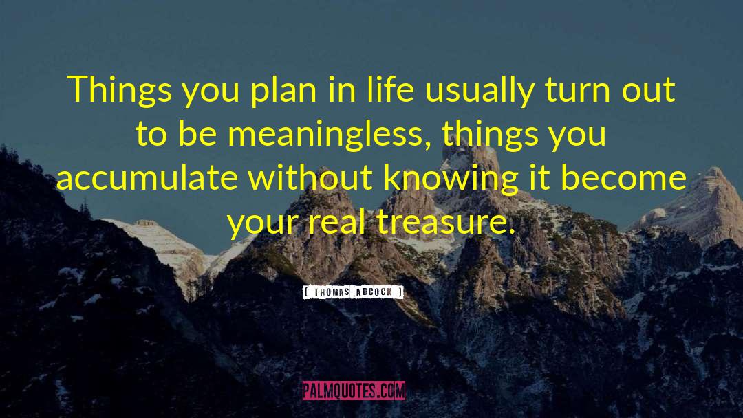 Thomas Adcock Quotes: Things you plan in life