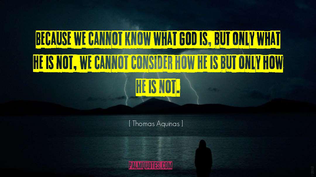 Thomas Aquinas Quotes: Because we cannot know what