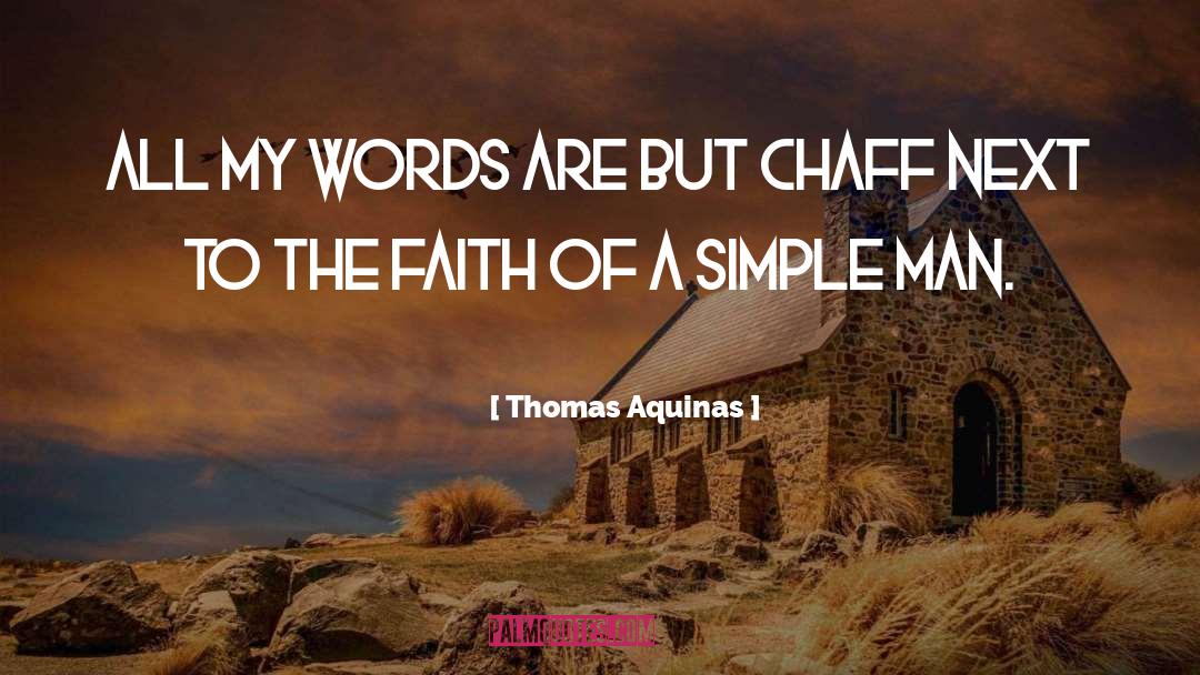 Thomas Aquinas Quotes: All my words are but