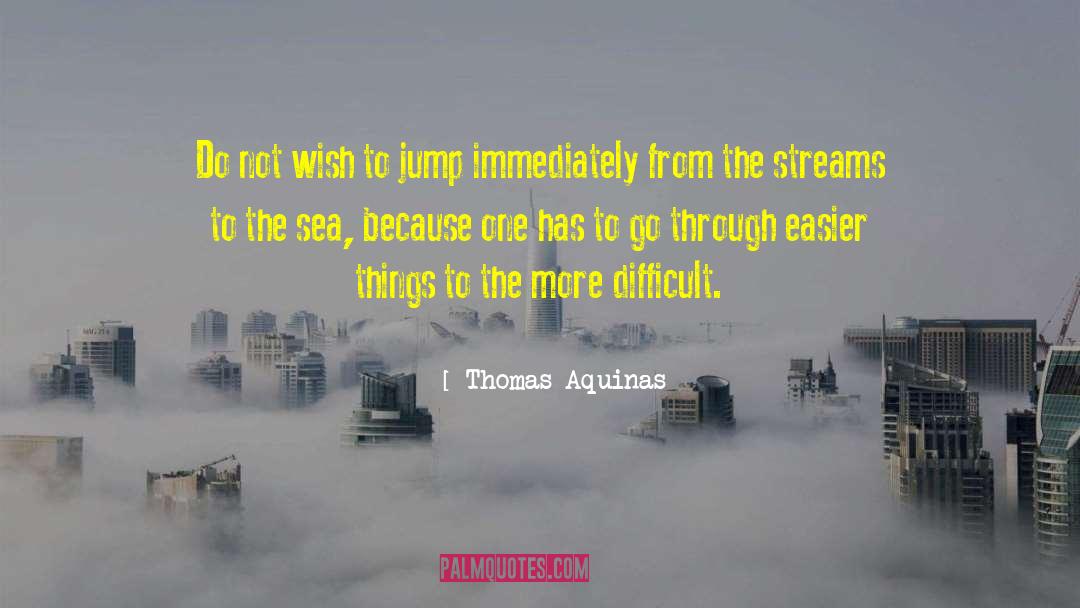 Thomas Aquinas Quotes: Do not wish to jump