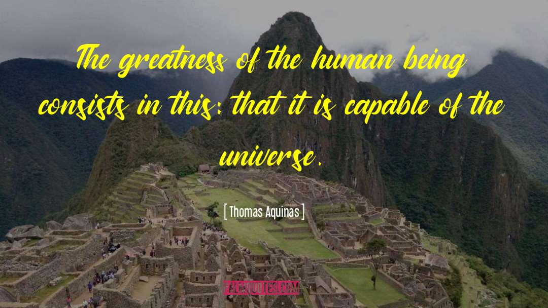 Thomas Aquinas Quotes: The greatness of the human
