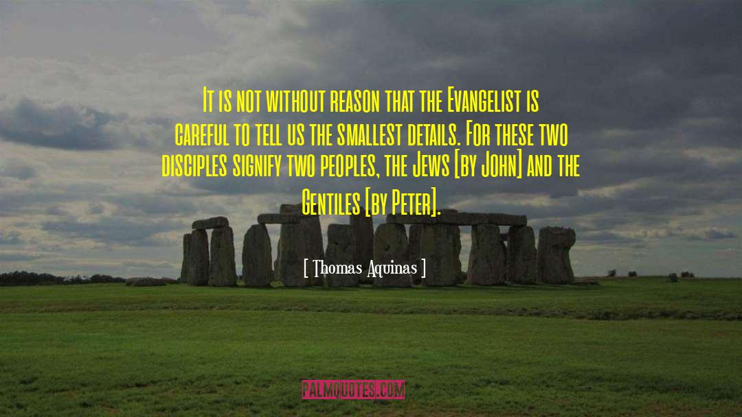 Thomas Aquinas Quotes: It is not without reason