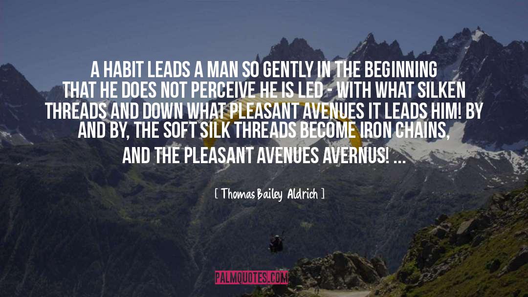 Thomas Bailey Aldrich Quotes: A habit leads a man