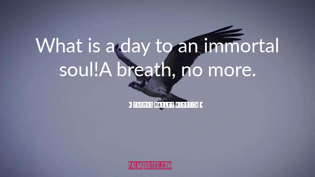 Thomas Bailey Aldrich Quotes: What is a day to