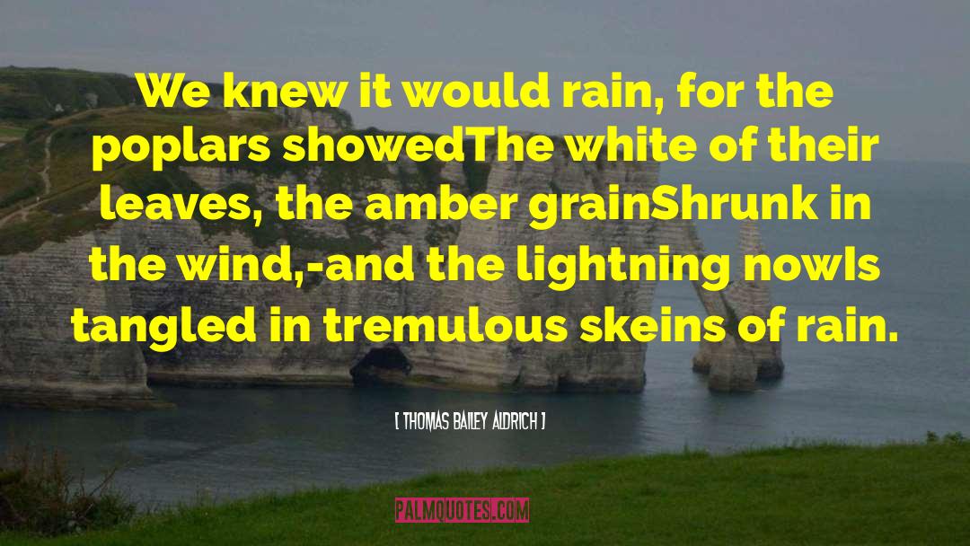 Thomas Bailey Aldrich Quotes: We knew it would rain,