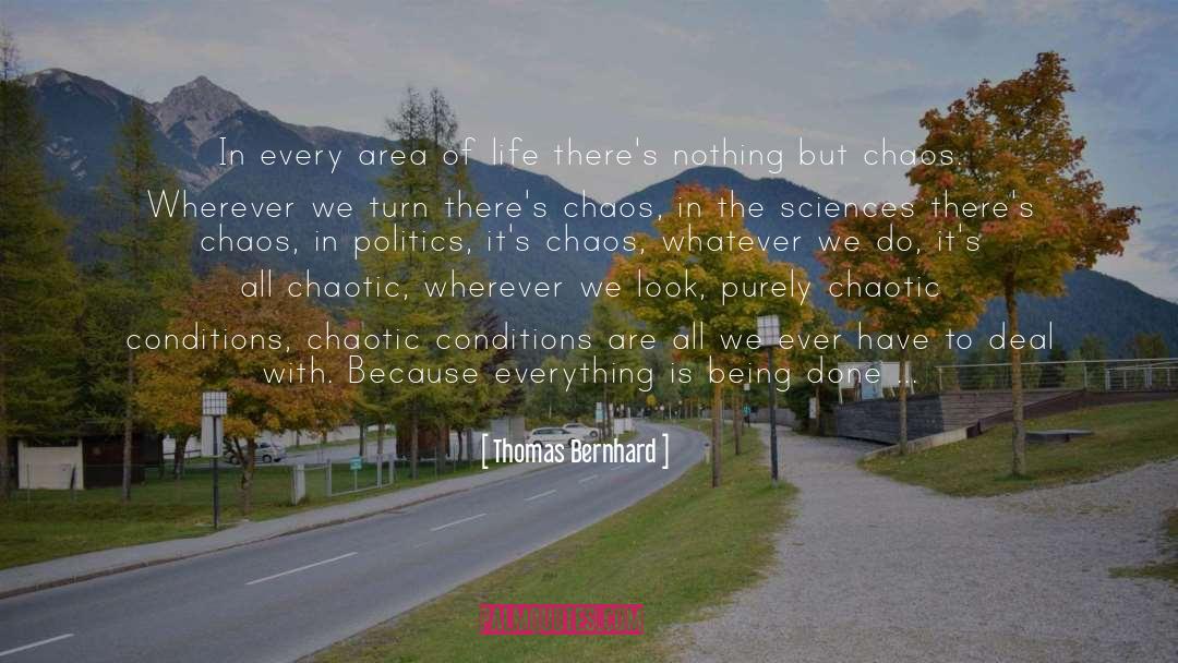 Thomas Bernhard Quotes: In every area of life