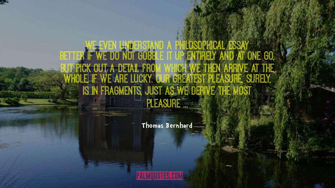 Thomas Bernhard Quotes: We even understand a philosophical