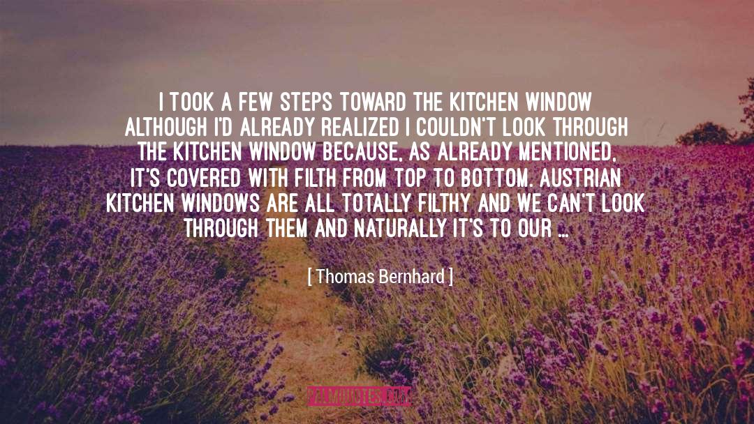 Thomas Bernhard Quotes: I took a few steps