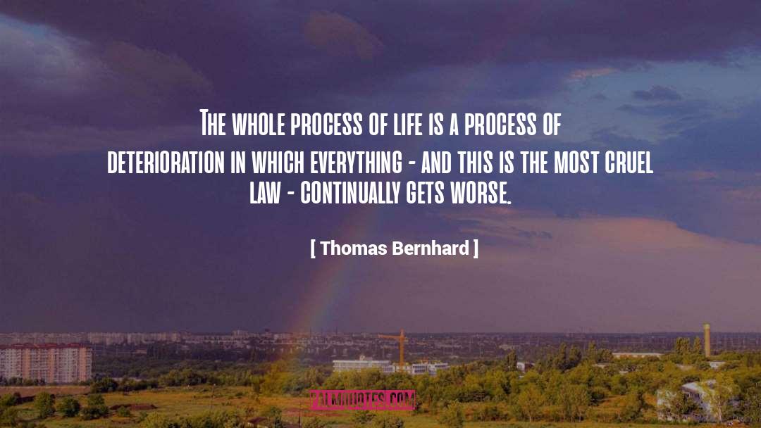 Thomas Bernhard Quotes: The whole process of life