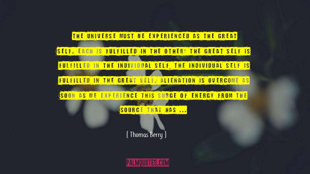 Thomas Berry Quotes: The universe must be experienced