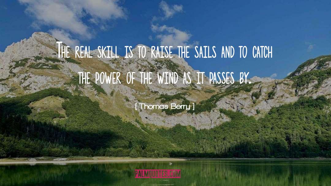 Thomas Berry Quotes: The real skill is to