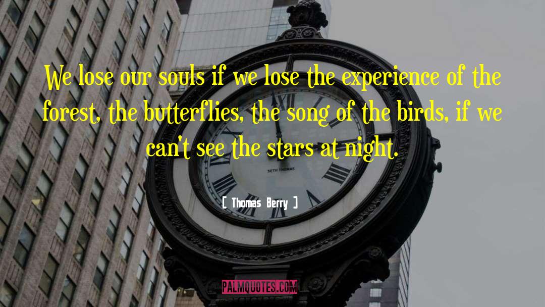 Thomas Berry Quotes: We lose our souls if