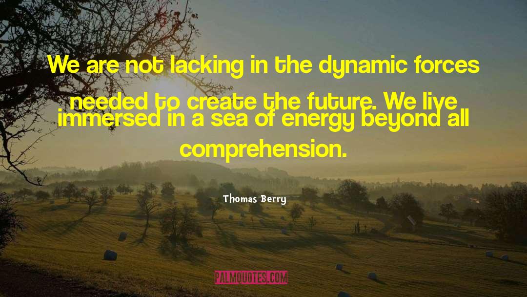 Thomas Berry Quotes: We are not lacking in