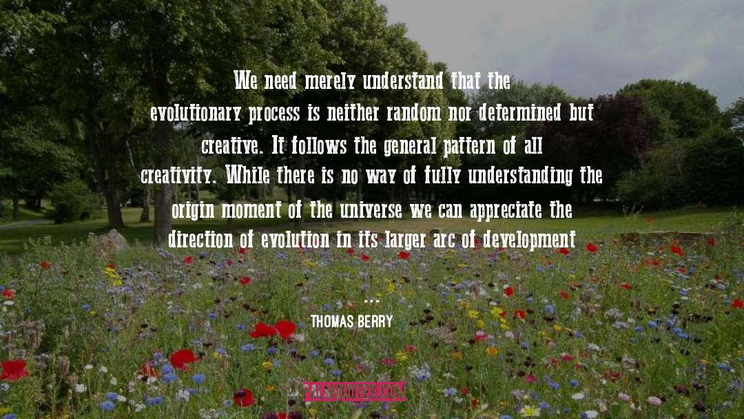 Thomas Berry Quotes: We need merely understand that