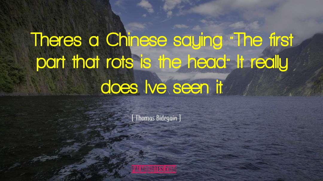 Thomas Bidegain Quotes: There's a Chinese saying: 