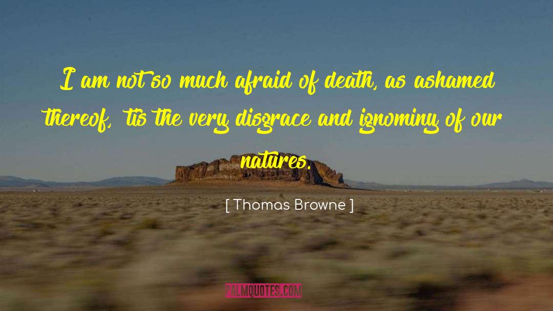 Thomas Browne Quotes: I am not so much