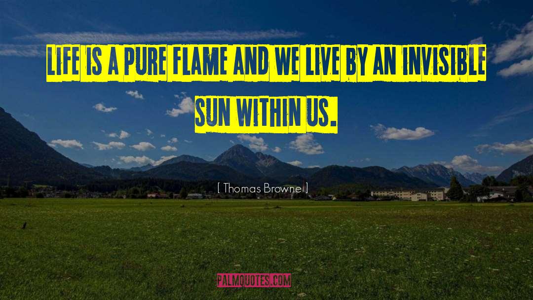 Thomas Browne Quotes: Life is a pure flame