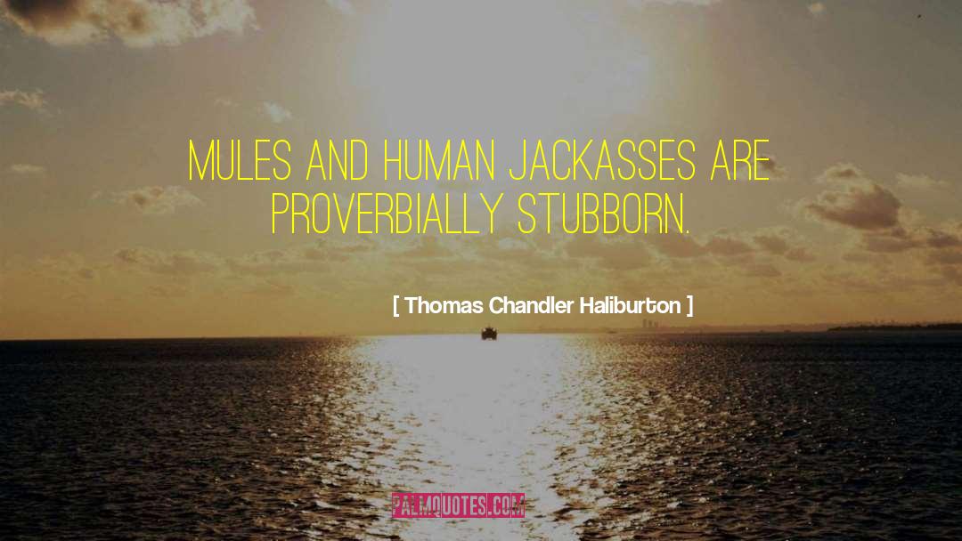 Thomas Chandler Haliburton Quotes: Mules and human jackasses are