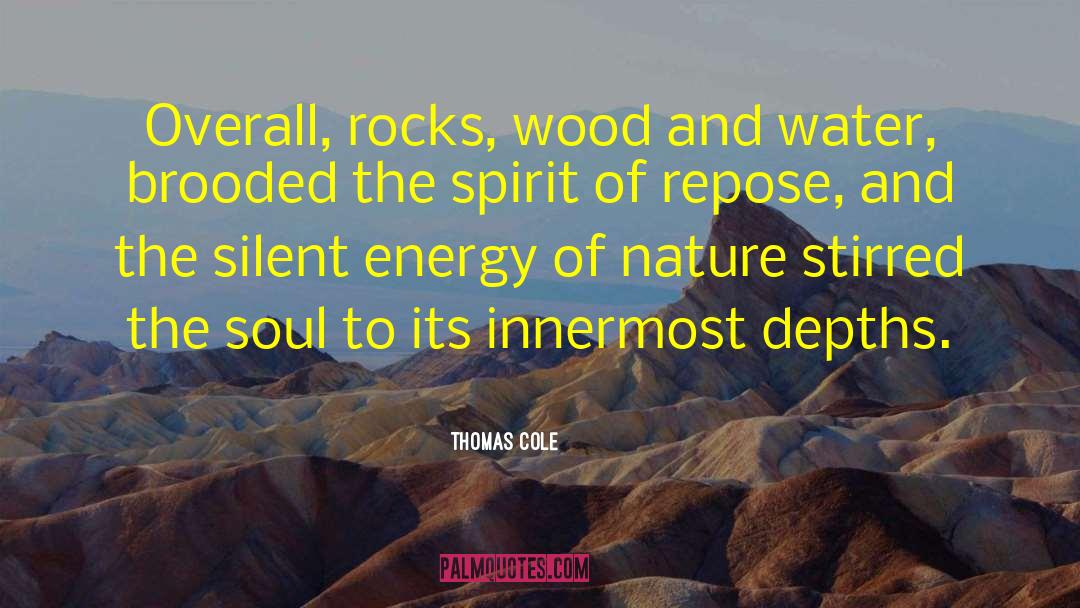 Thomas Cole Quotes: Overall, rocks, wood and water,