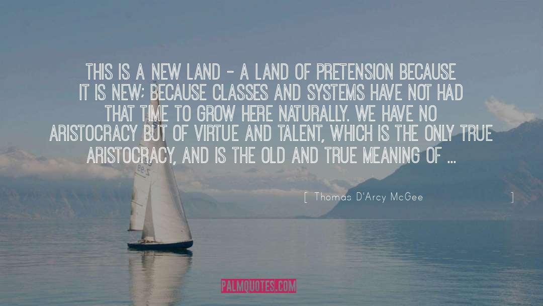 Thomas D'Arcy McGee Quotes: This is a new land