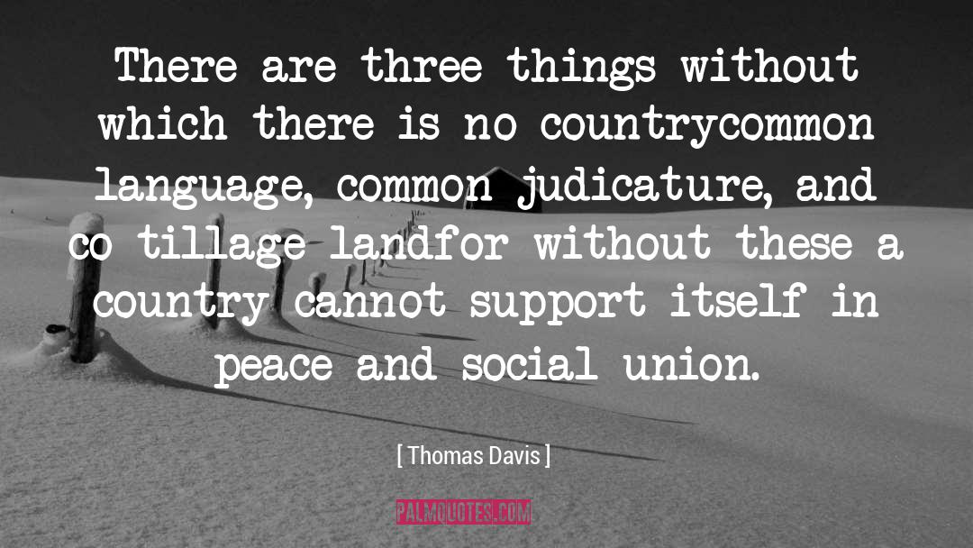 Thomas Davis Quotes: There are three things without