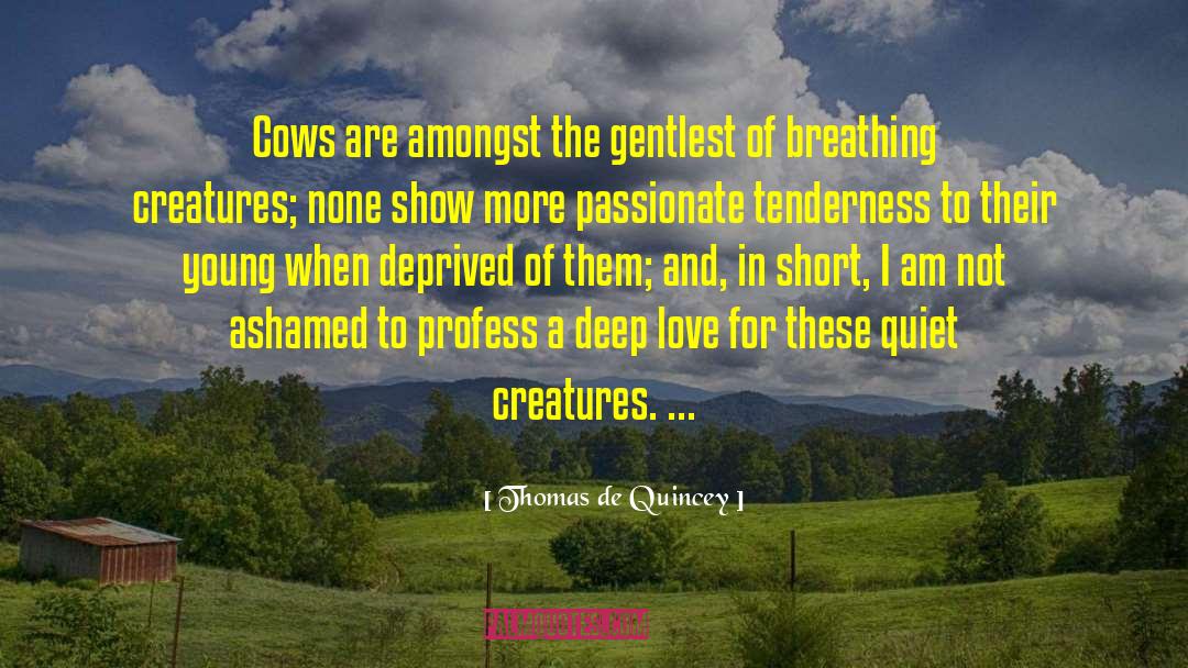 Thomas De Quincey Quotes: Cows are amongst the gentlest