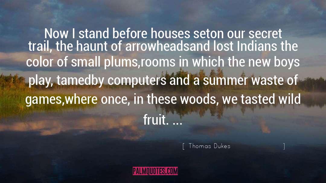 Thomas Dukes Quotes: Now I stand before houses