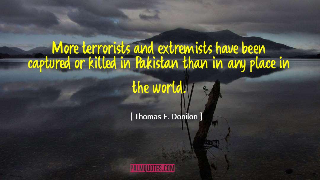 Thomas E. Donilon Quotes: More terrorists and extremists have
