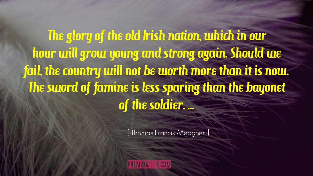 Thomas Francis Meagher Quotes: The glory of the old