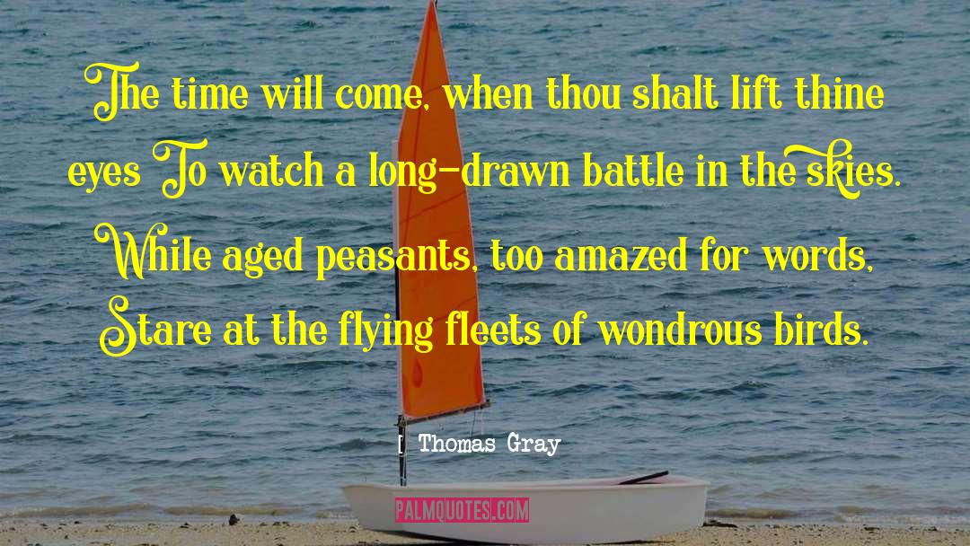 Thomas Gray Quotes: The time will come, when