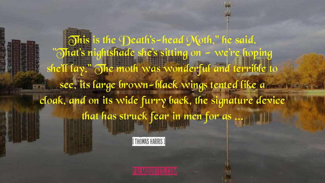 Thomas Harris Quotes: This is the Death's-head Moth,
