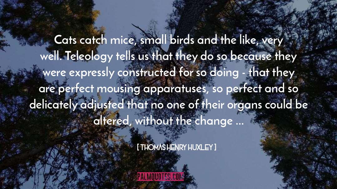 Thomas Henry Huxley Quotes: Cats catch mice, small birds