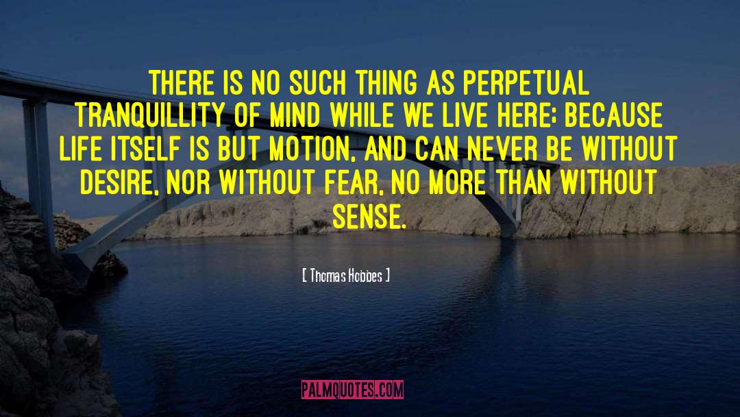 Thomas Hobbes Quotes: There is no such thing