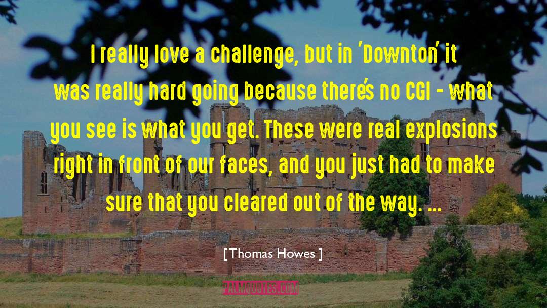 Thomas Howes Quotes: I really love a challenge,