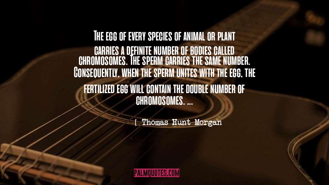 Thomas Hunt Morgan Quotes: The egg of every species