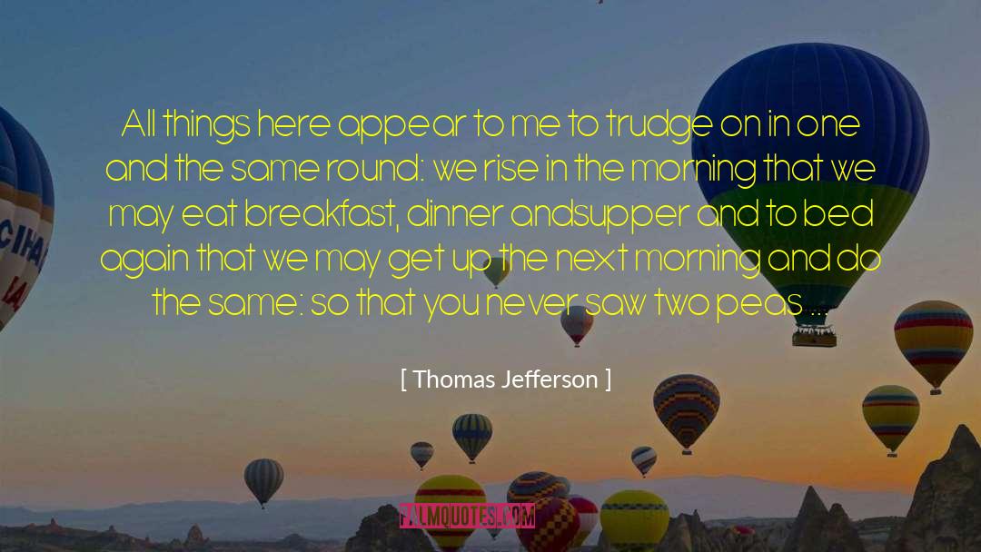Thomas Jefferson Quotes: All things here appear to
